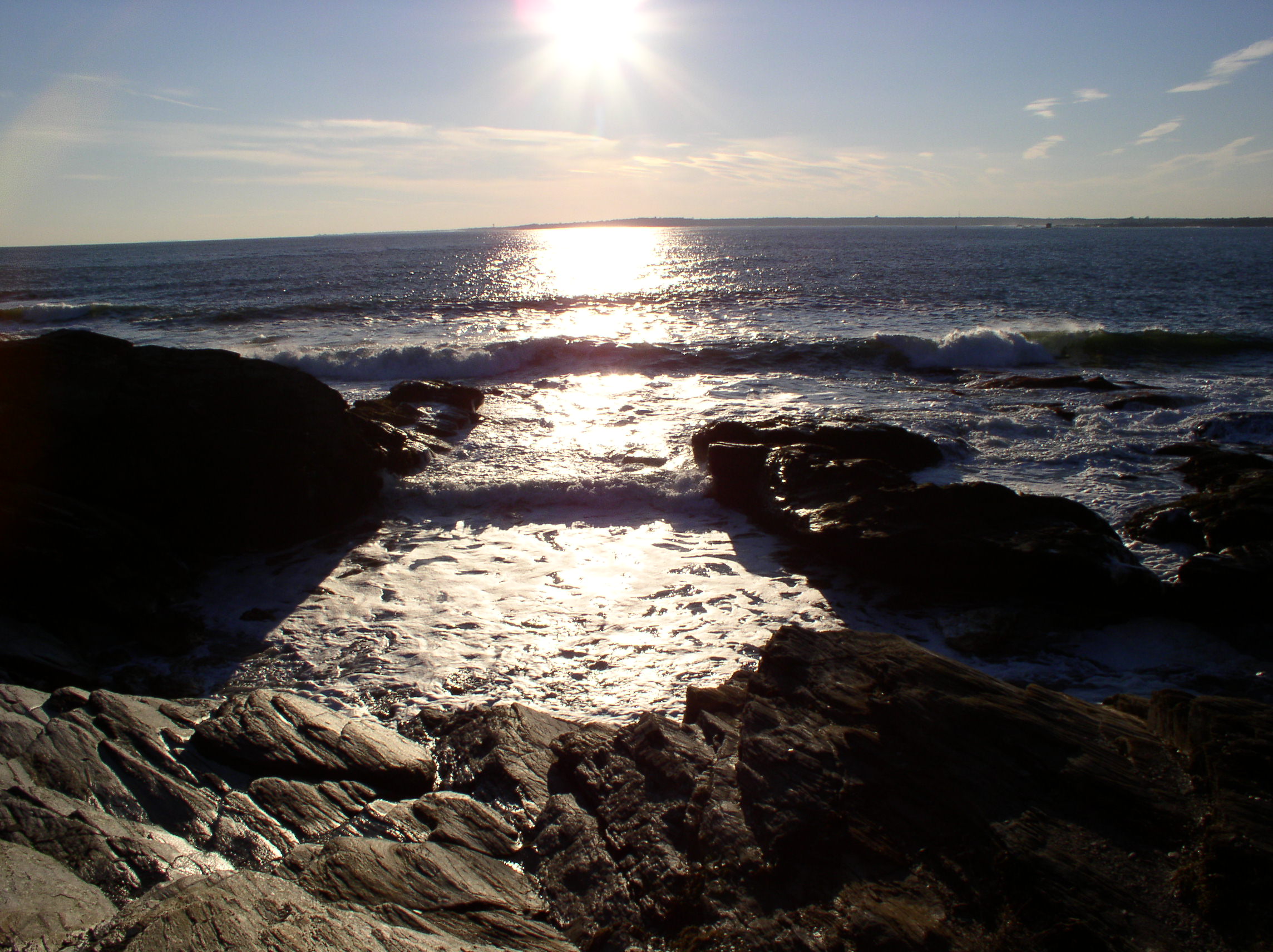 Beavertail121105_a