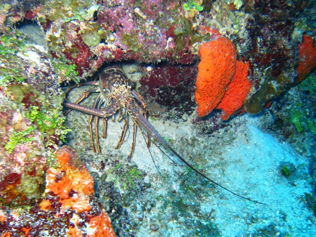 Belize -- Dec 2007