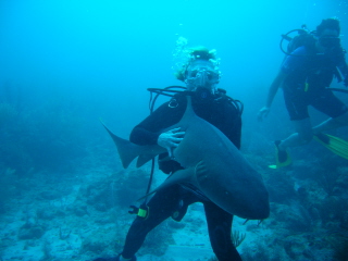 Belize_shark