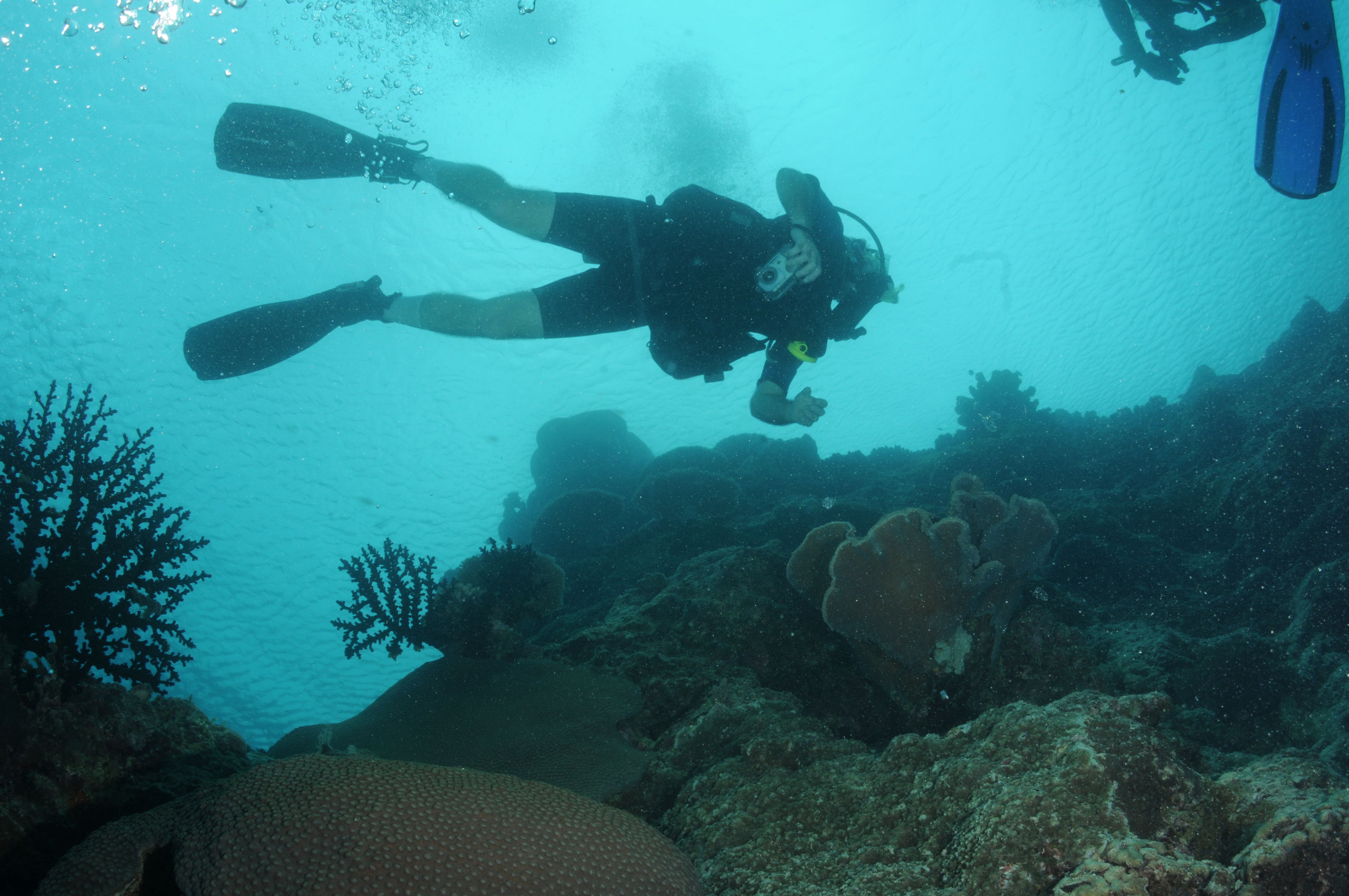 Best of Fiji 2010 Aug.