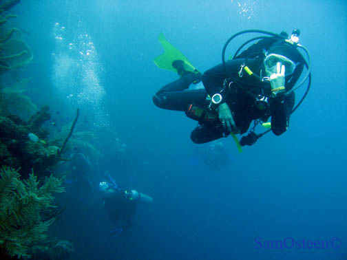 Betty_Roatan