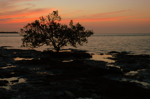 Big Pine Key