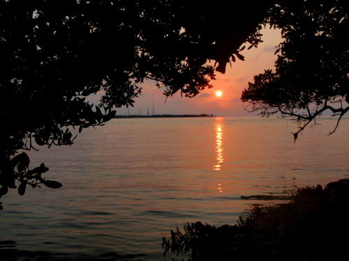 Big Pine Key