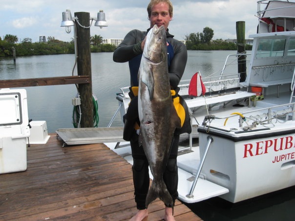 bigcobia