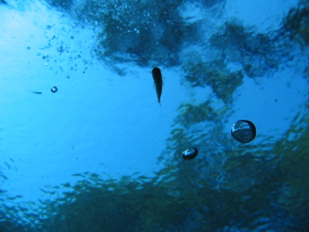 Blue Grotto 06May2007