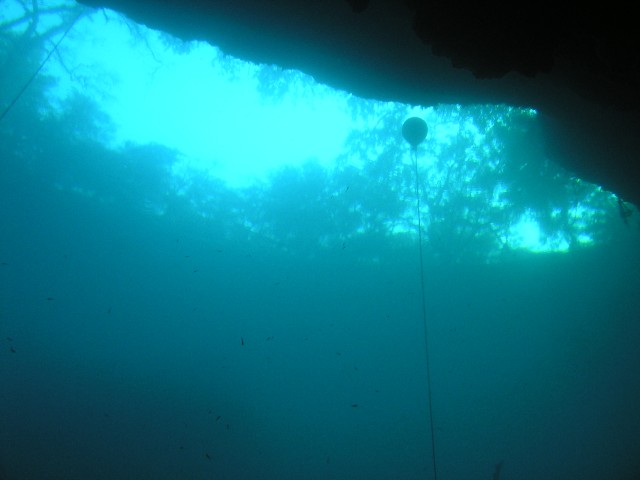 Blue Grotto Looking Up