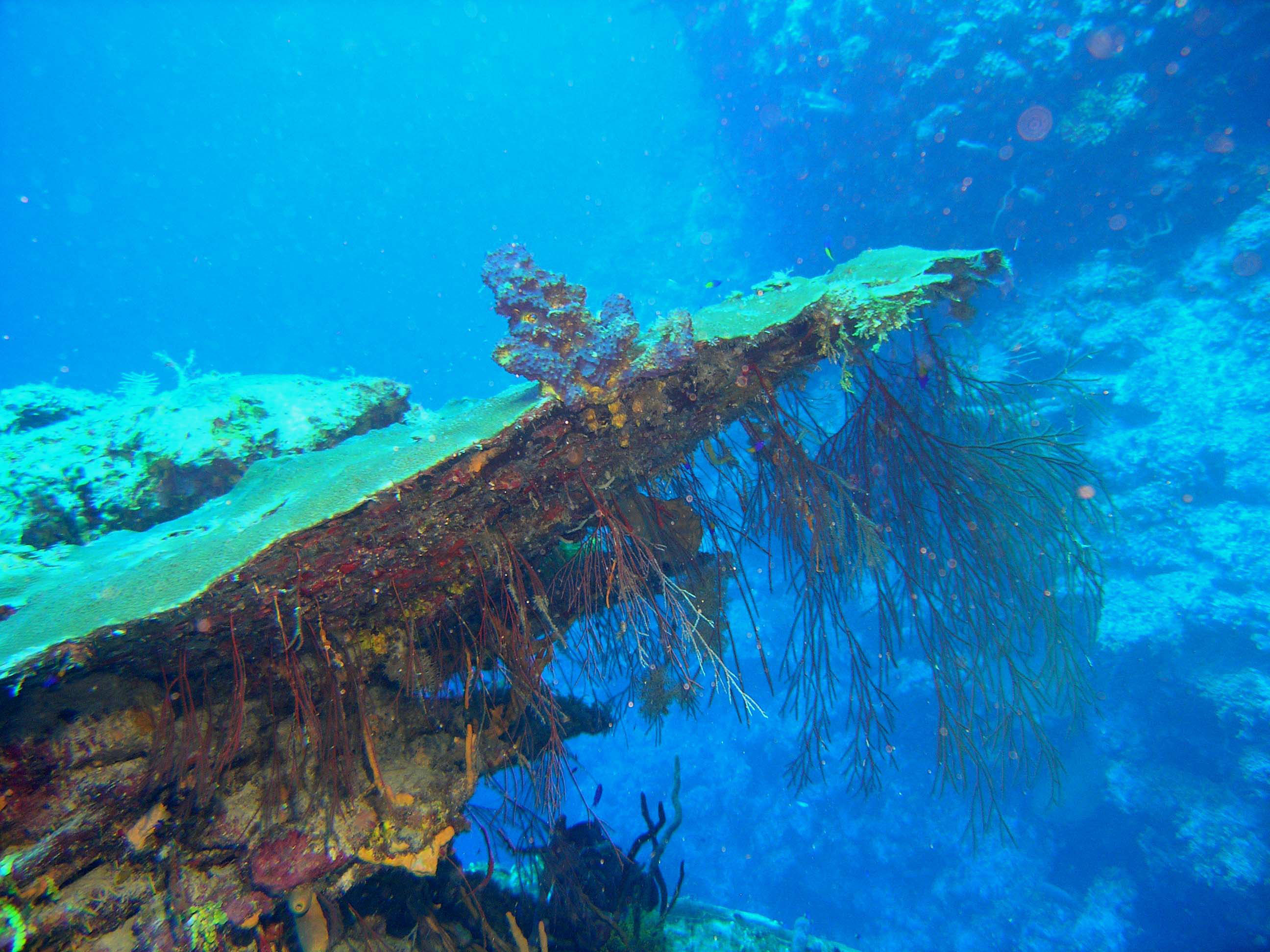 Blue Life Dive Center