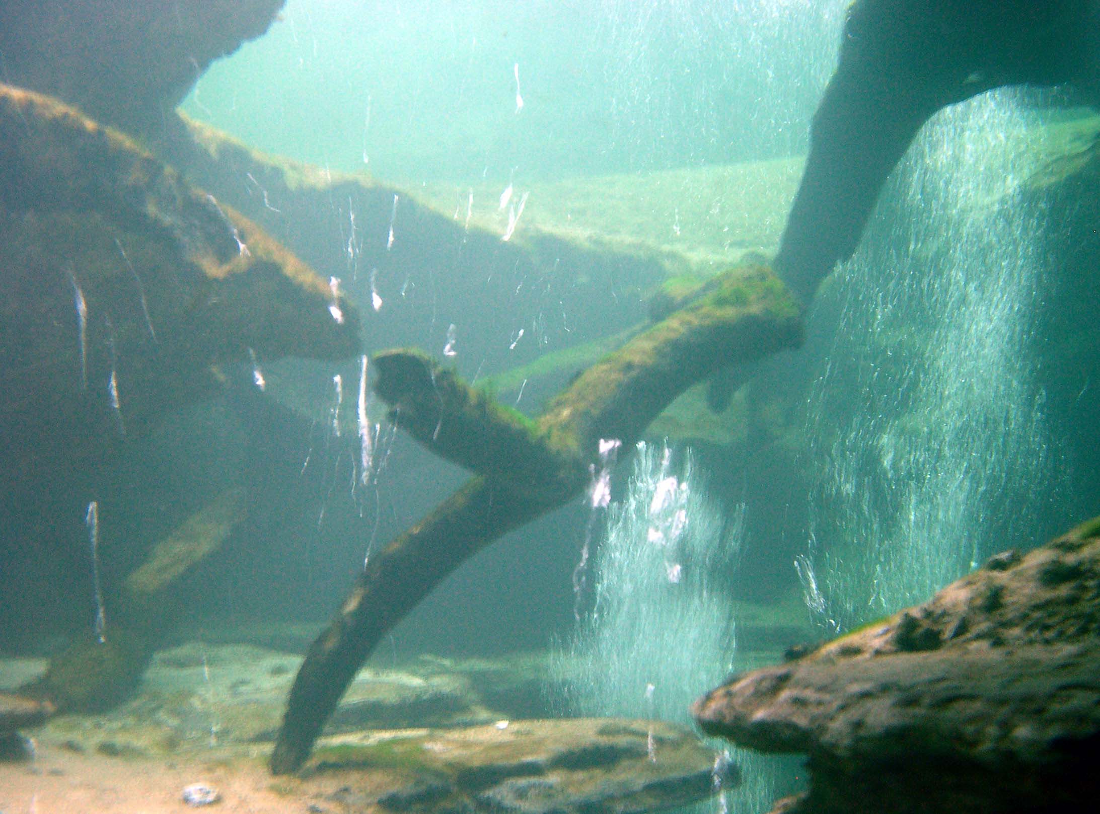 Blue Spring Near Surface