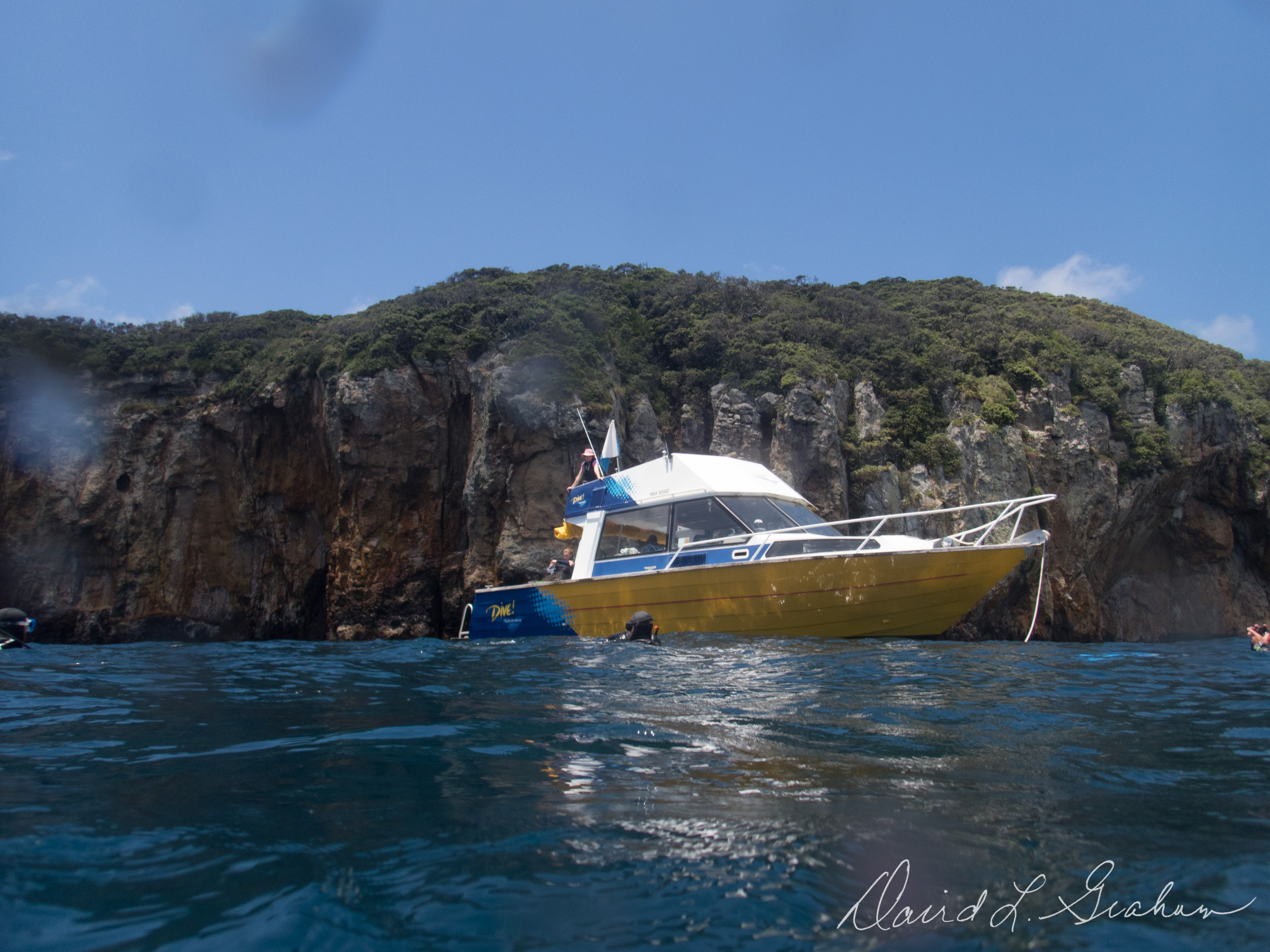Boat From Dive Tutukaka (1 Of 1)