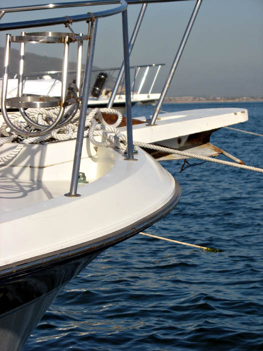 Boats lined up at the dock