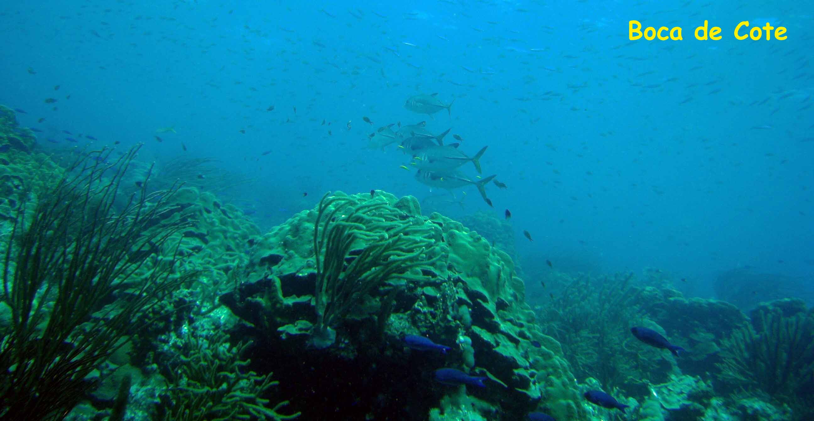 Boca de Cote, Los Roques, Venezuela