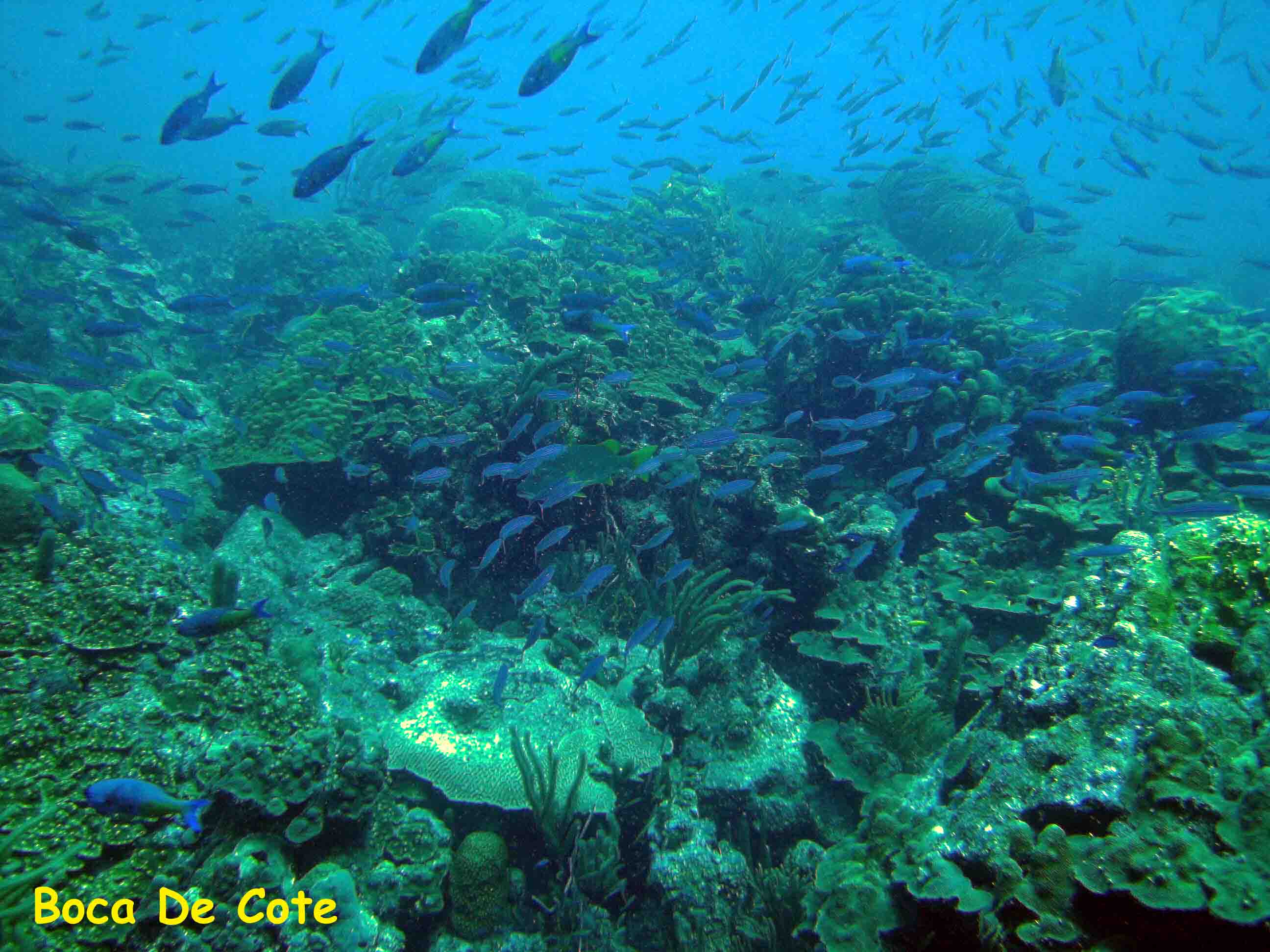 Boca de Cote, Los Roques, Venezuela