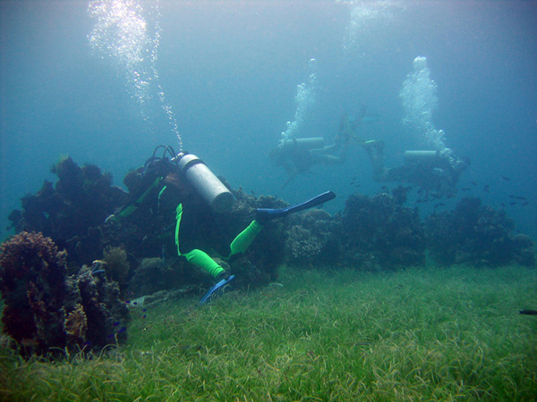 Bohol_Dive_108