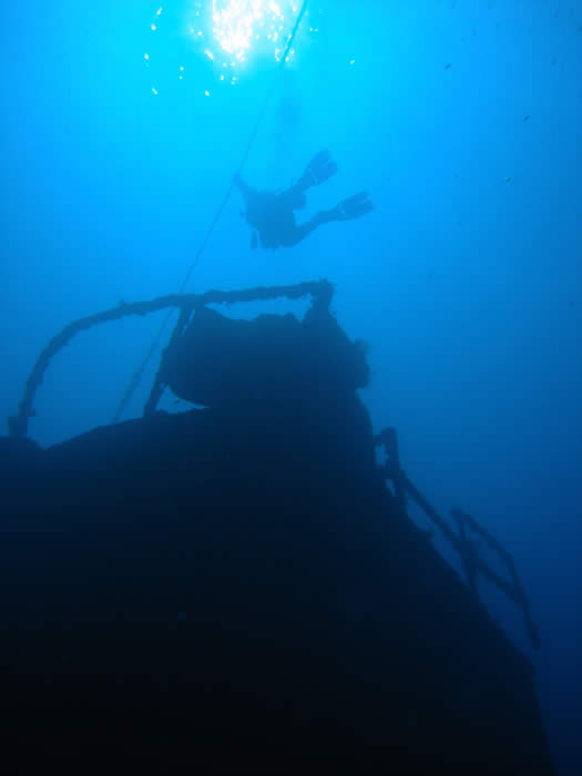 Bonair, Key West, and variouse wreck dives