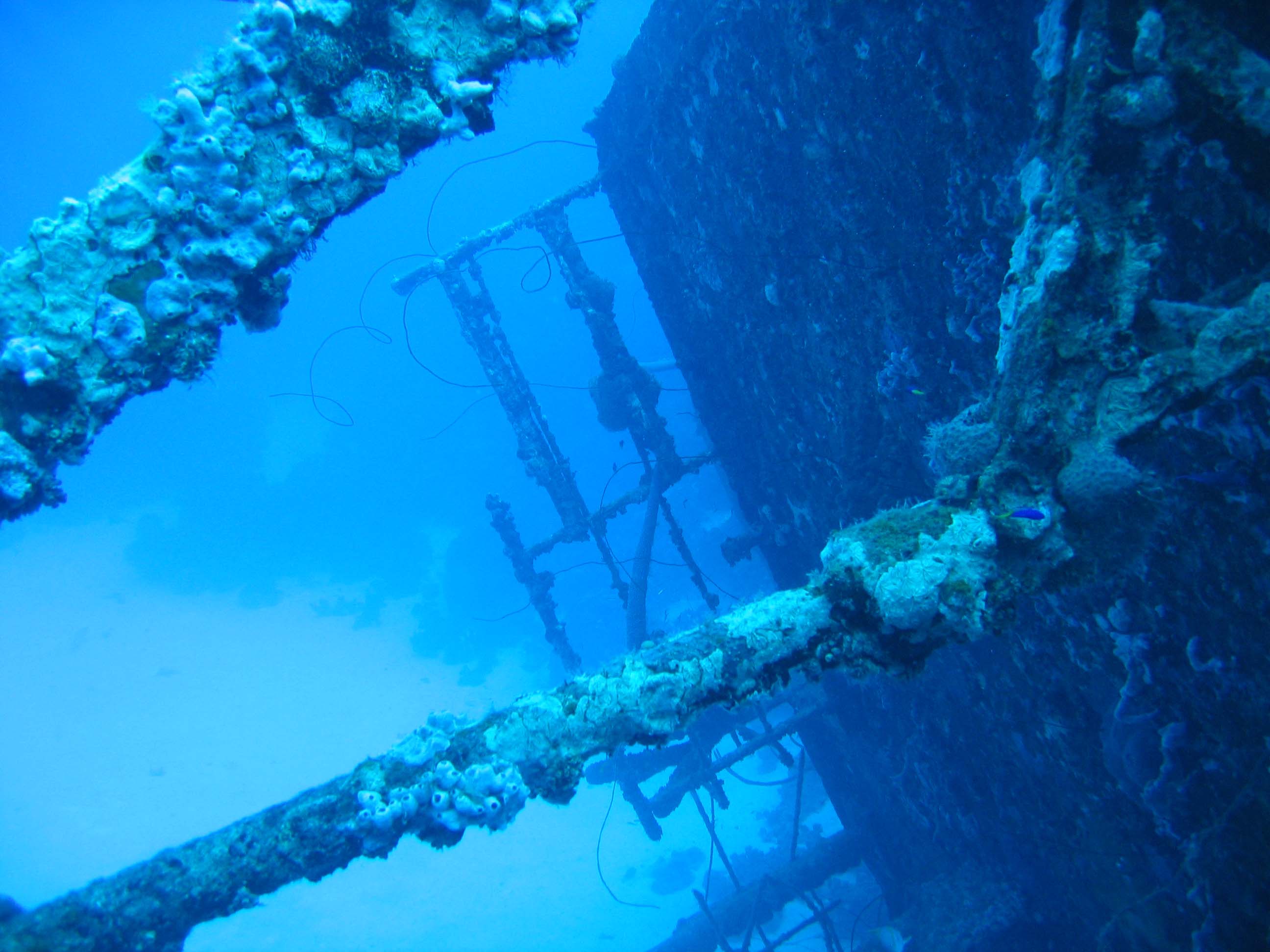 Bonaire Hilma Hooker