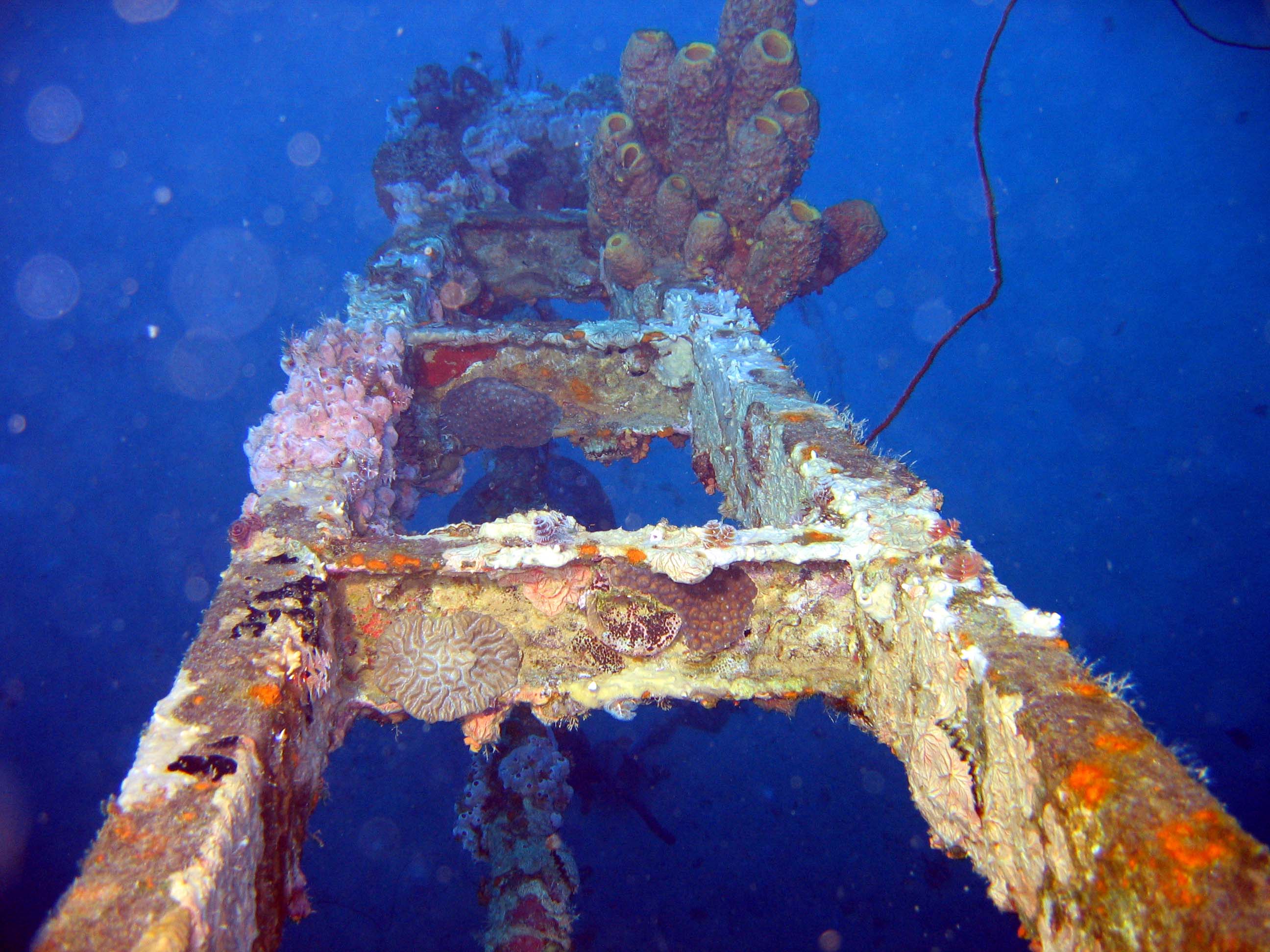 Bonaire Hilma Hooker