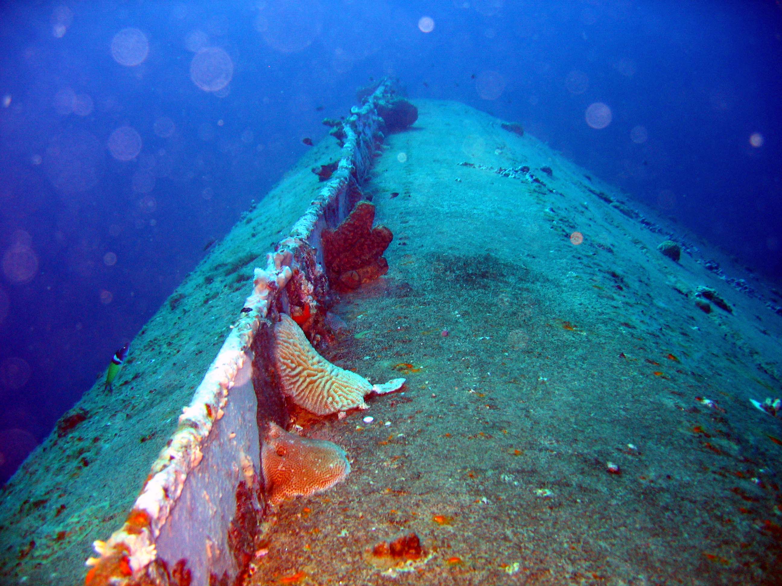 Bonaire Hilma Hooker