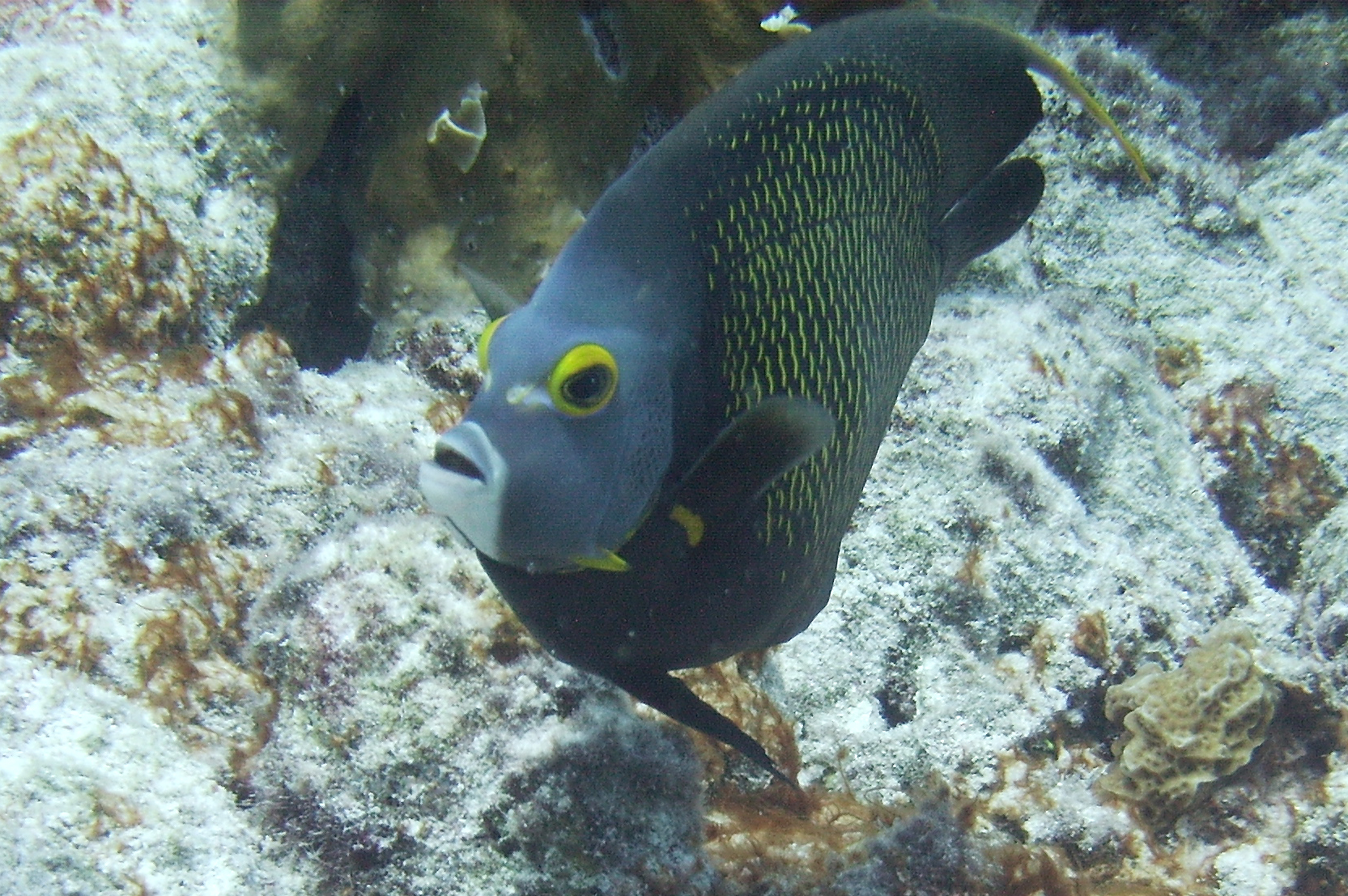 Bonaire June 2010