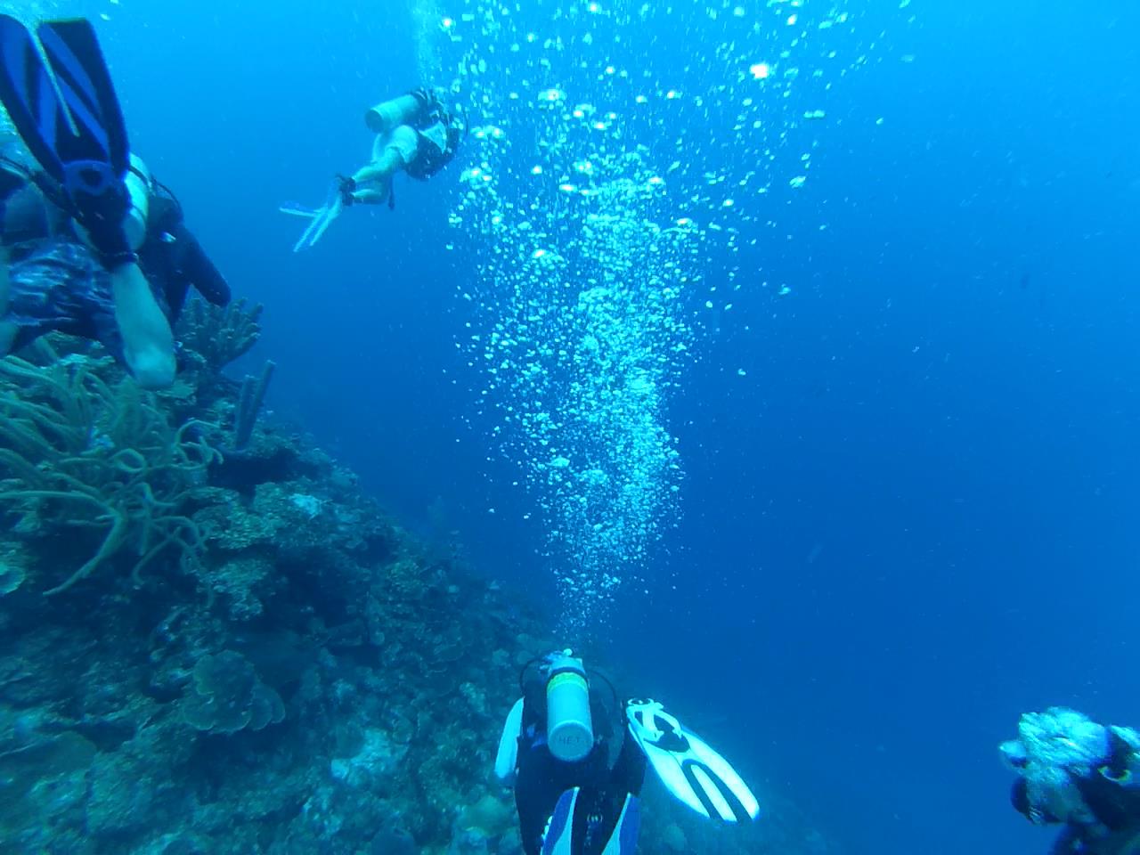 Bonaire June 2013