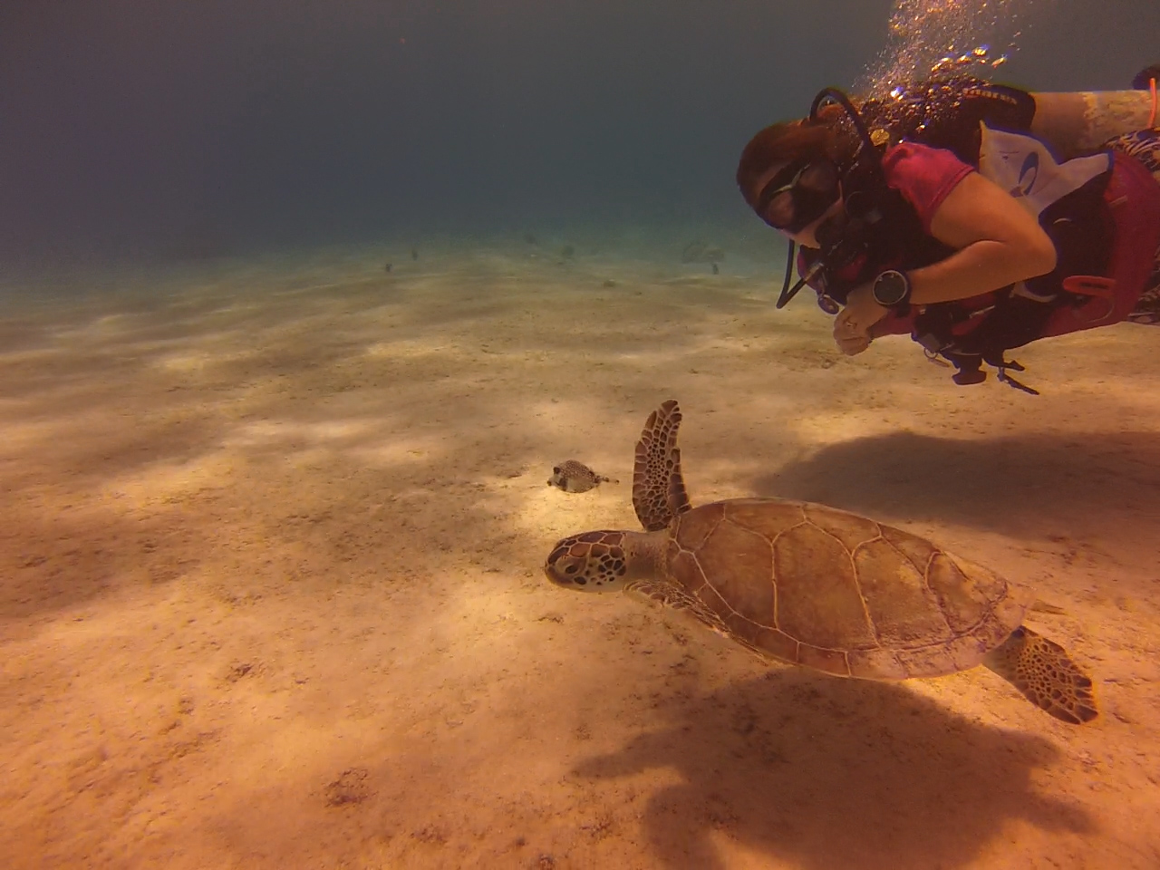 Bonaire June 2014