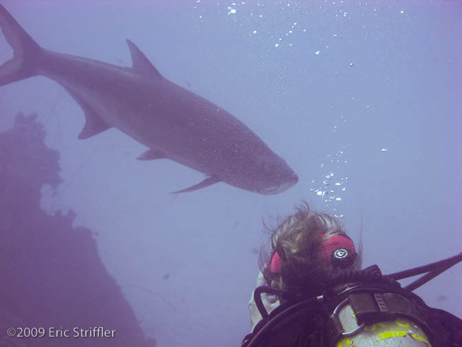 Bonaire Nov. 2009 Buddy Dive &amp; Shore