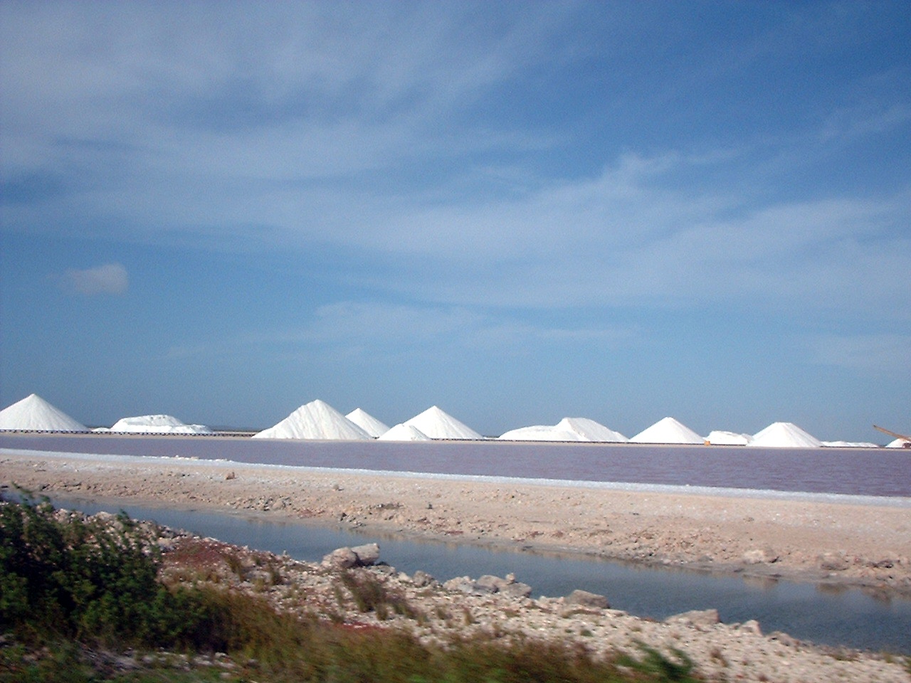 Bonaire Salt
