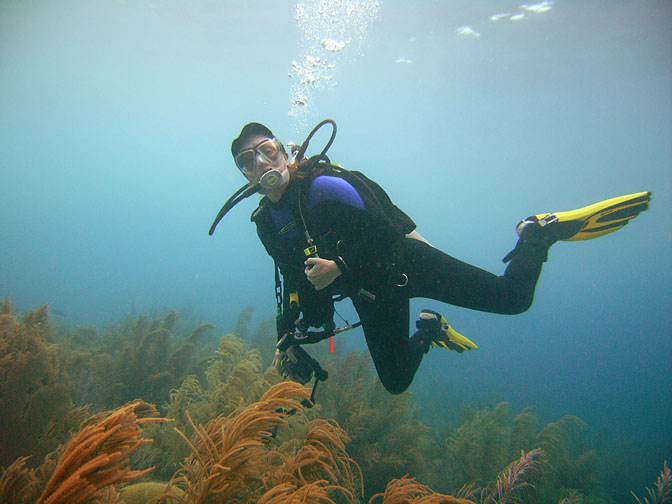 bonaire