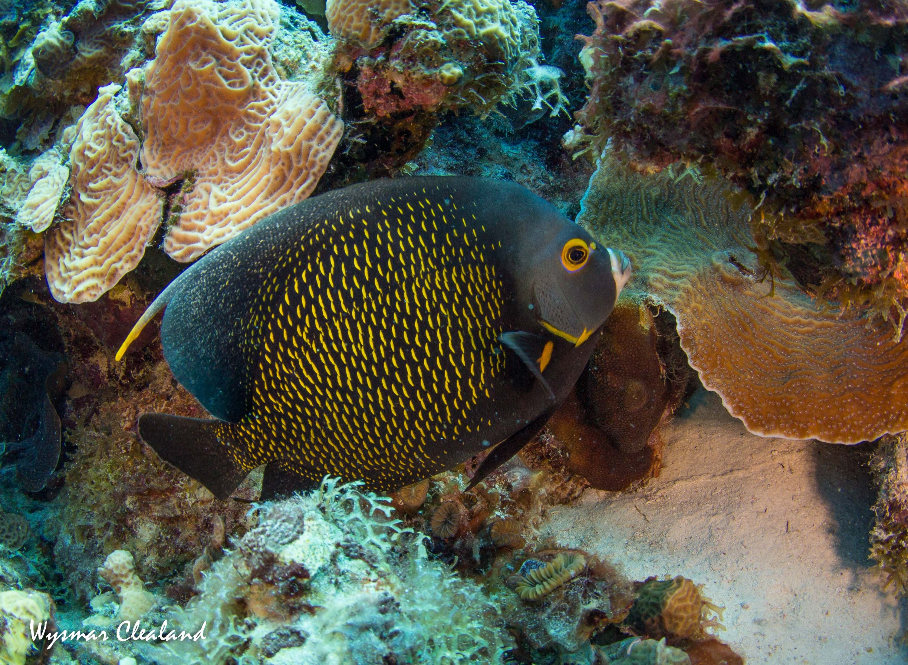 bonaire_2013-118