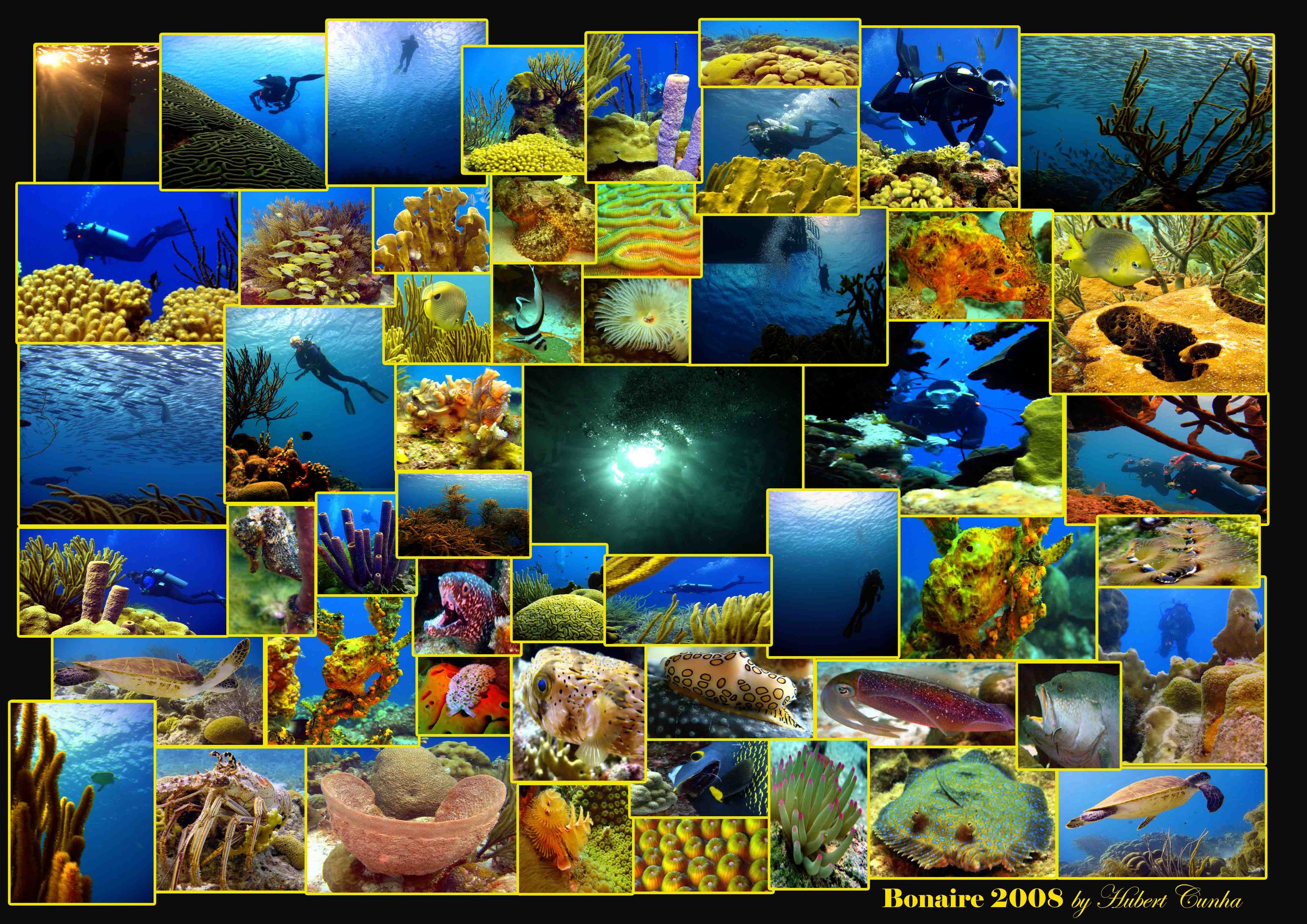 Bonaire_Poster_2008_email