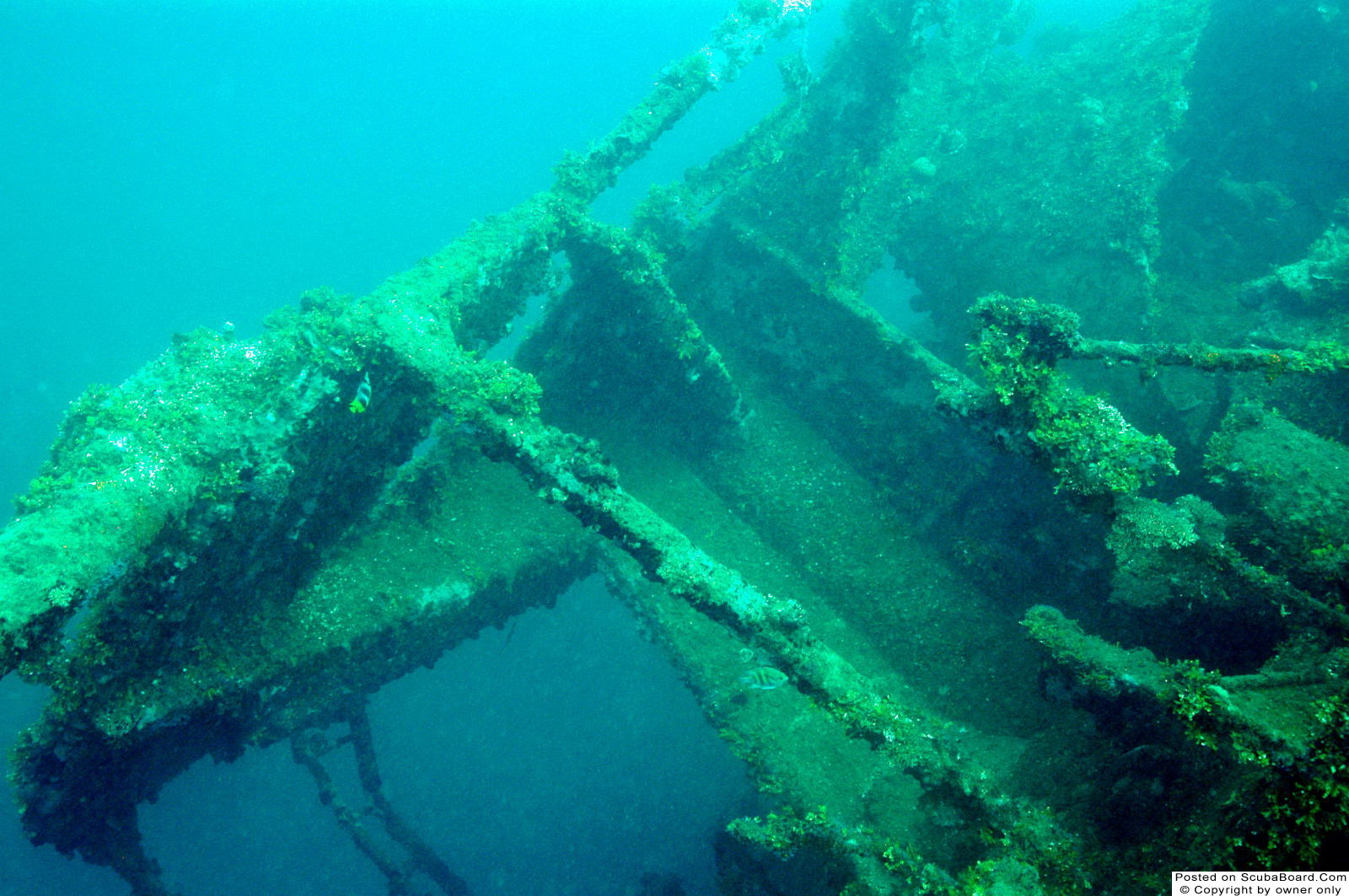 bow gun turrent of the Tokia Maru