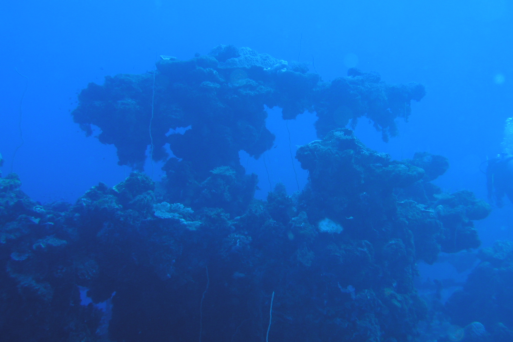 Bow Gun - Unkai Maru