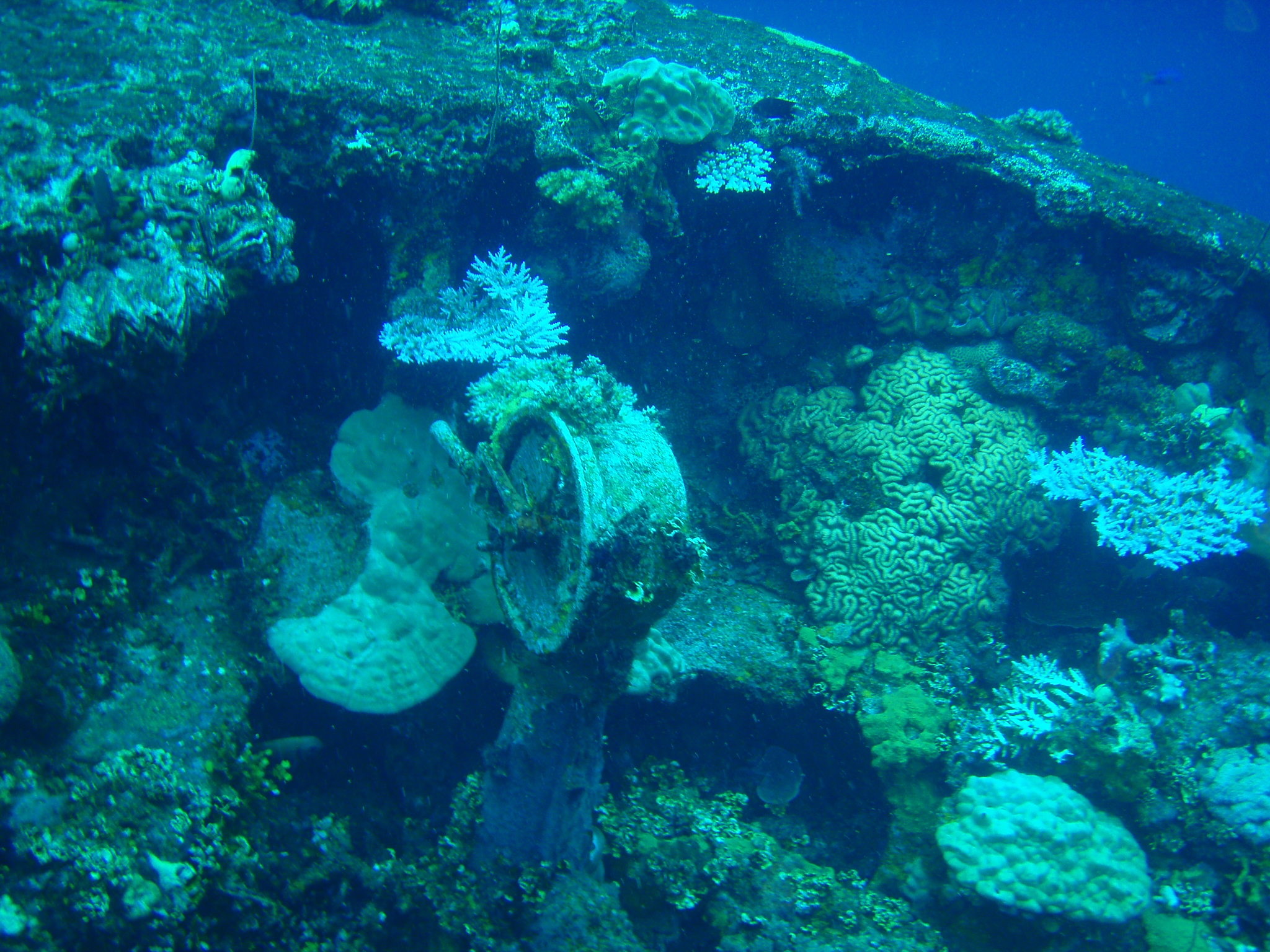 Bow of Fujikawa Maru