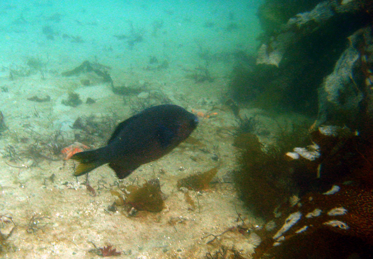 Breakwater Cove - 08/19/07