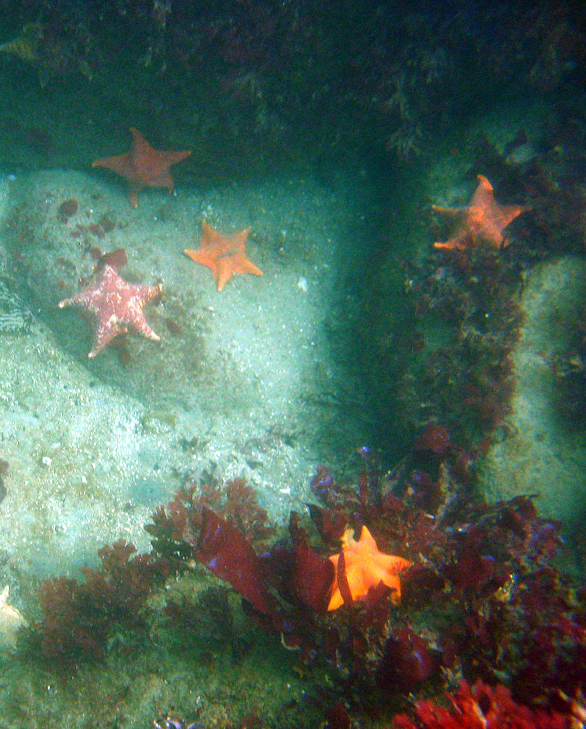 Breakwater Cove - 08/19/07