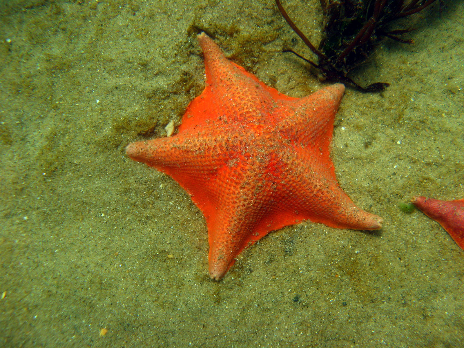 Breakwater Cove - 08/19/07