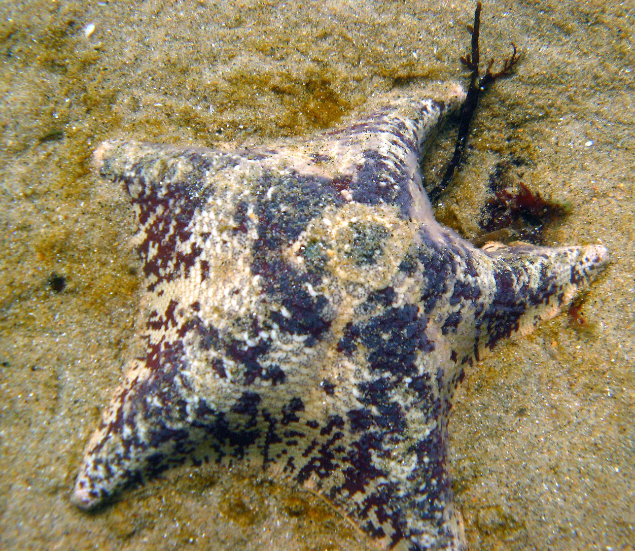 Breakwater Cove - 08/19/07