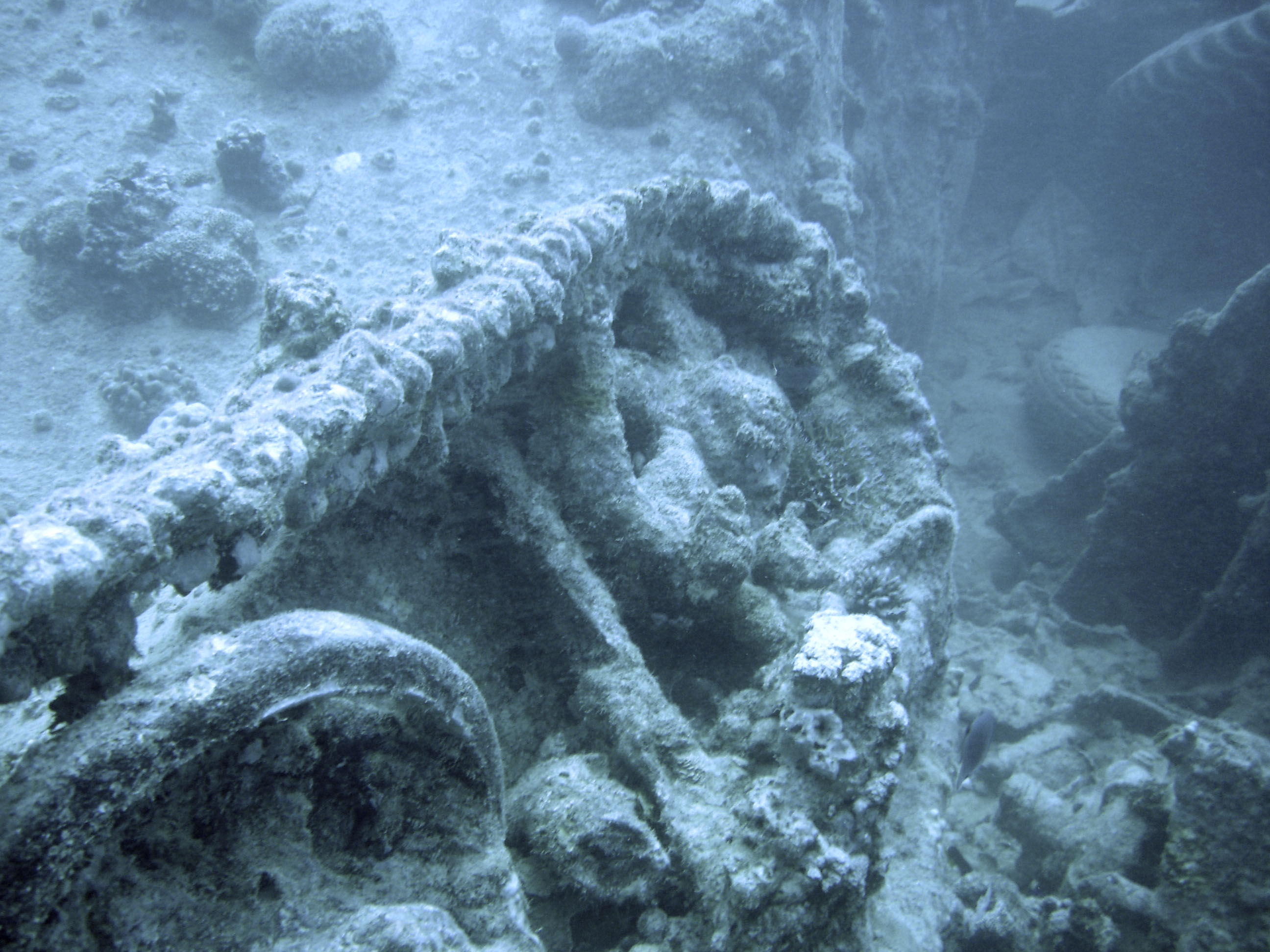 Bren gun carrier, SS Thistlegorm