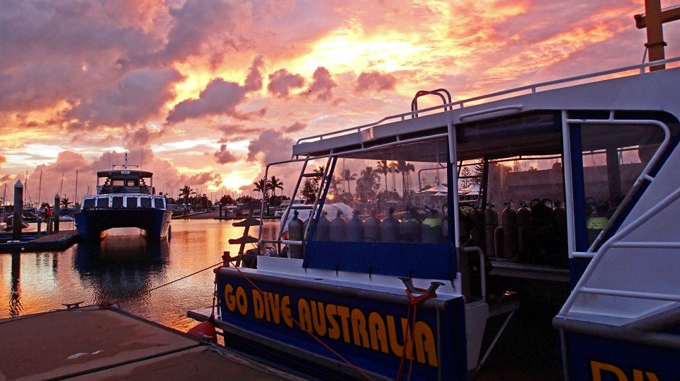 Brisbane diving