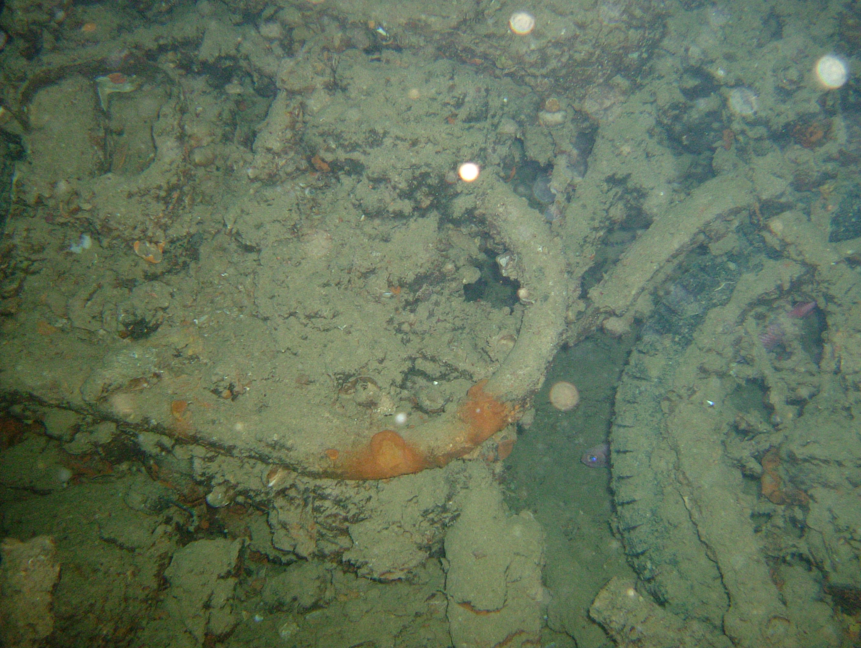 BSA motorbike on SS Thirstlegorm, Red Sea