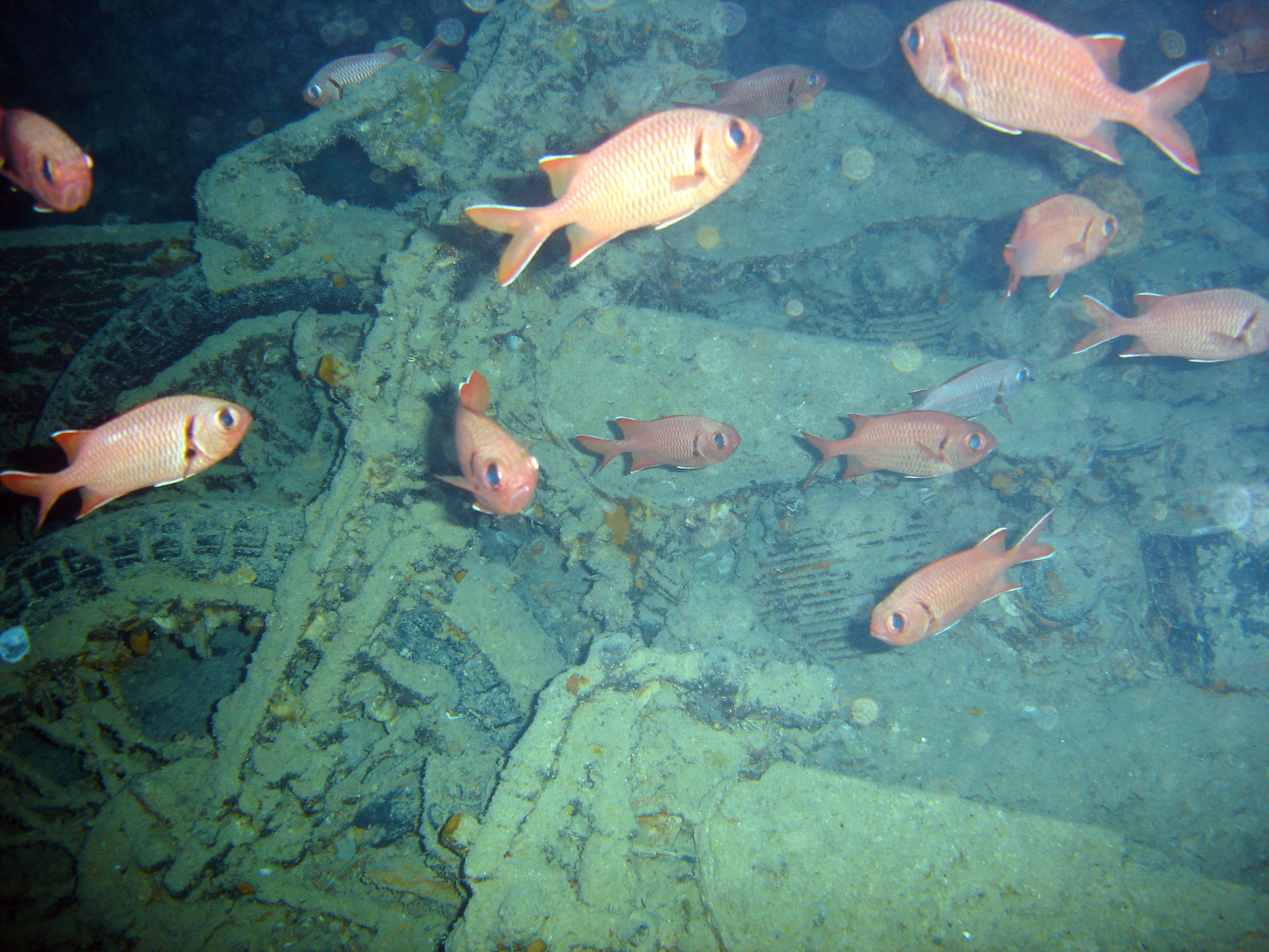 BSA motorbikes, SS Thistlegorm