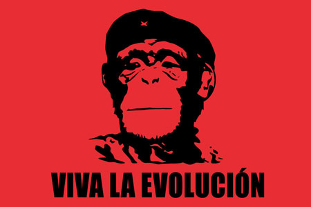 bt-vivalaevolucion