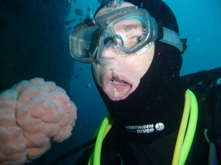 Buddy about to sample a local chordate