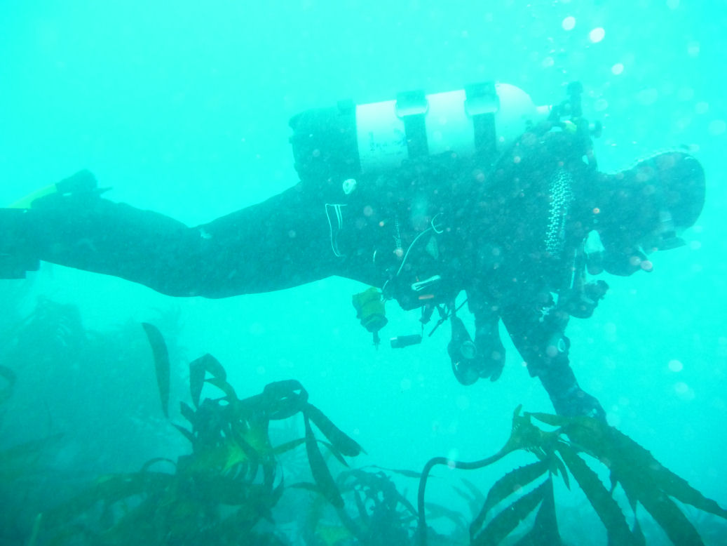 Buddy at Foggy Reef