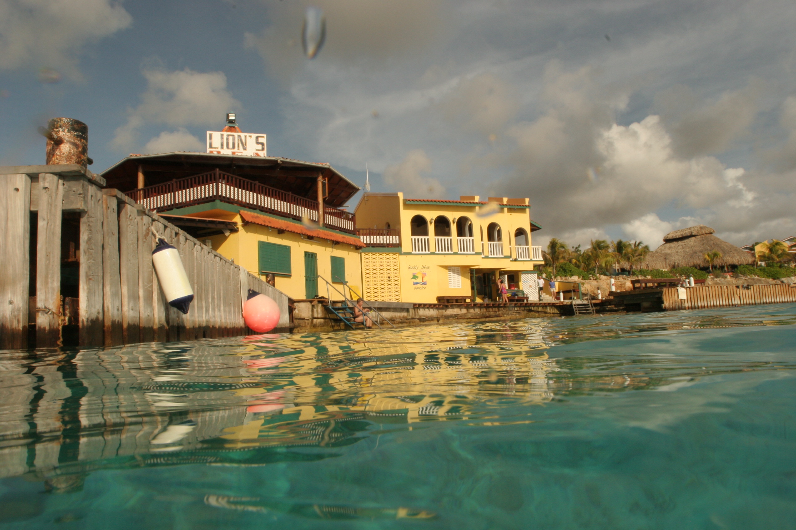 Buddys in Bonaire