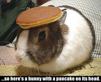 bunny-with-pancake1