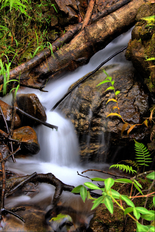 Bvumba Waterfall