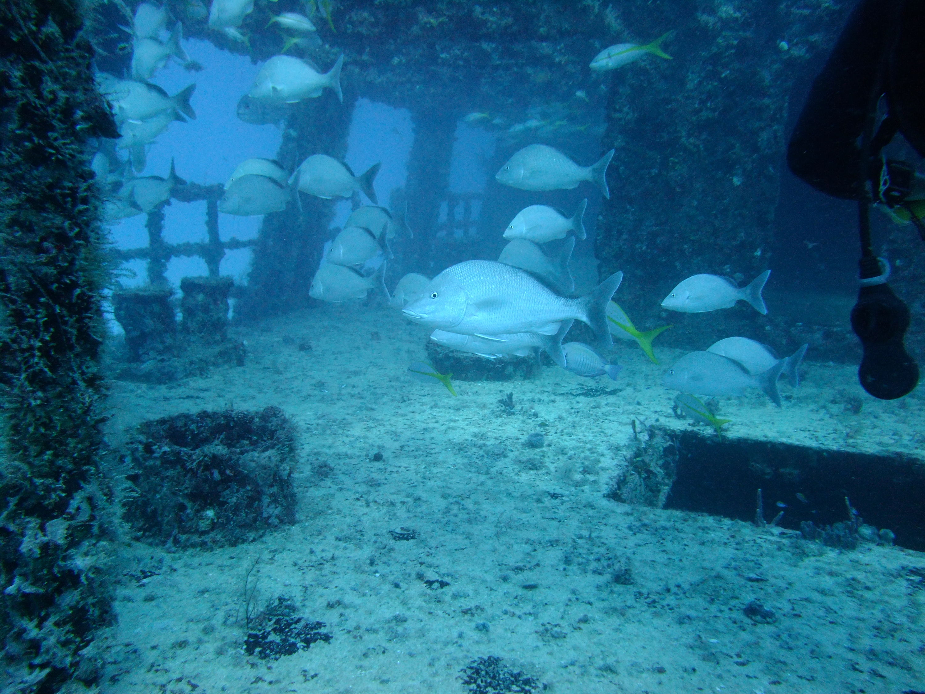 C52 - Cancun, Mexico