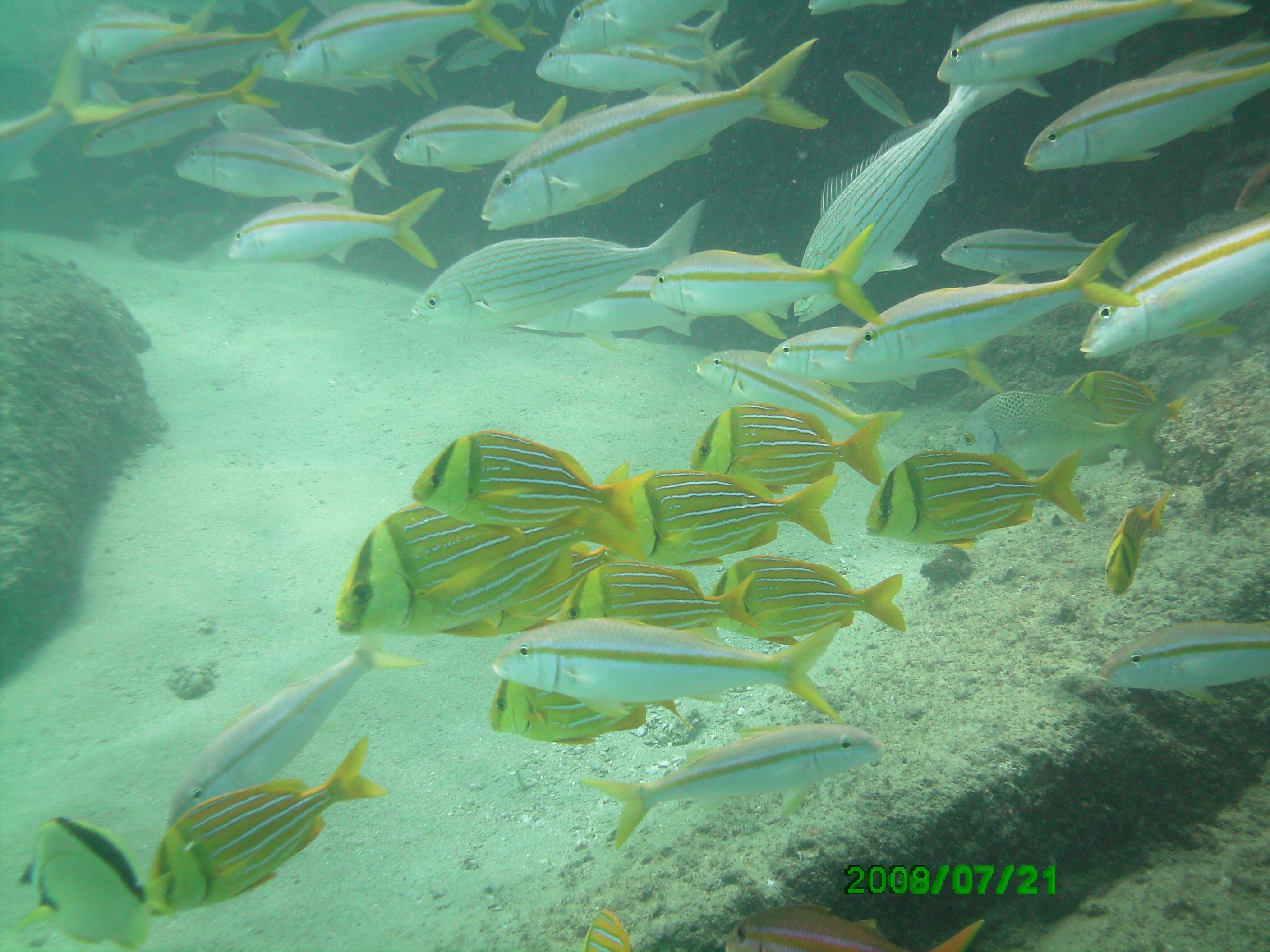 CABO '08