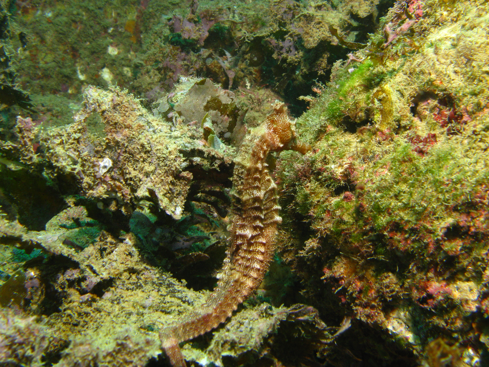 cabo-underwater-12