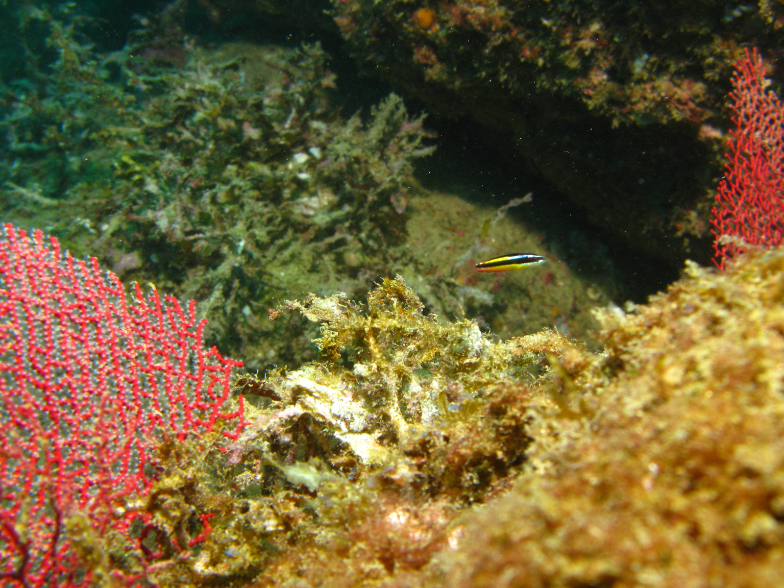 cabo-underwater-17